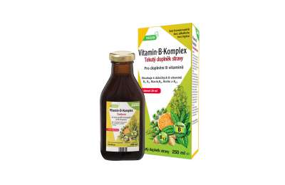SALUS Floradix Vitamin-B-Komplex, 250 ml